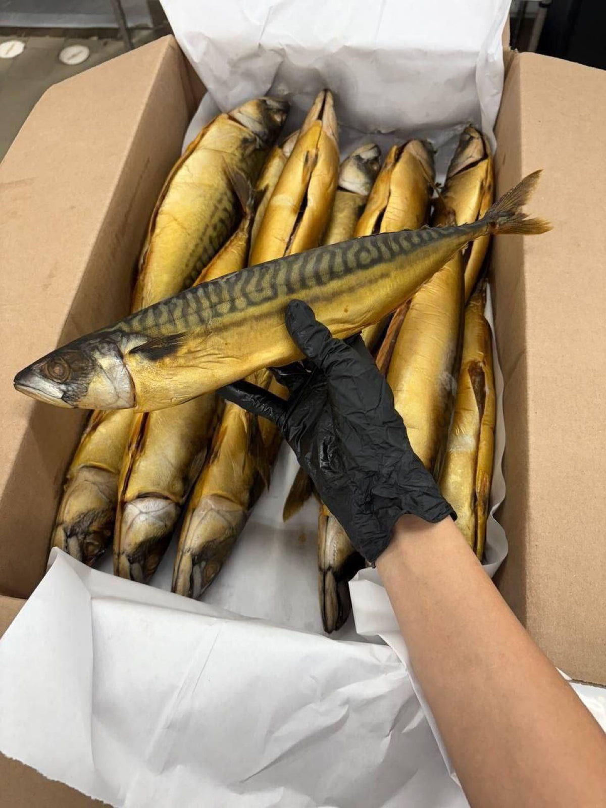 Cold-smoked mackerel, whole fish